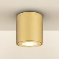 Brilagi - Badkamerspot MIA 1xGU10/30W/230V 84x80 mm goud IP54