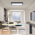 Brilagi - Dimbare LED-plafondlamp voor badkamer FRAME SMART LED/30W/230V 30 x 60 cm 3000-6000K IP44 zwart + afstandsbediening