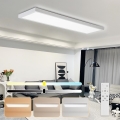 Brilagi - LED dimbare badkamerplafondlamp FRAME SMART LED/50W/230V 120x30 cm 3000-6000K IP44 wit + afstandsbediening
