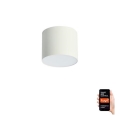 Immax NEO 07241L - LED dimbare plafondlamp RONDATE LED/18W/230V 11,5cm Wi-Fi Tuya
