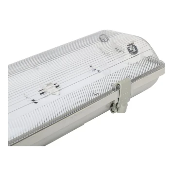 Aigostar - Industrie TL-Buis T8 2xG13/20W/230V IP65