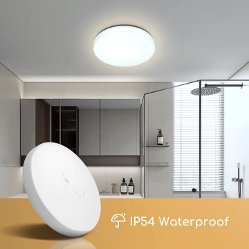 Aigostar - LED Badkamer plafondlamp LED/18W/230V 6500K IP54