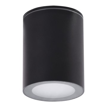 Azzardo AZ4216 - Plafond Lamp voor Buiten PAPIKO 1xGU10/50W/230V IP65 zwart