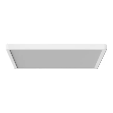 Azzardo AZ5371 - LED Dimbare badkamer plafondverlichting PANKA LED/24W/230V IP40 wit