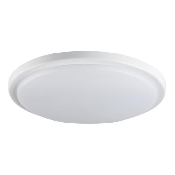 Badkamer LED Plafond Lamp ORTE LED/24W/230V IP54