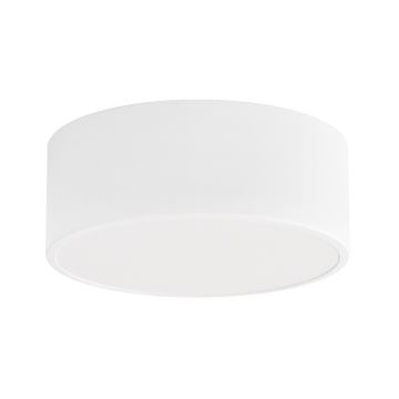 Badkamer plafondlamp CLEO 1xE27/24W/230V diameter 20 cm wit IP54