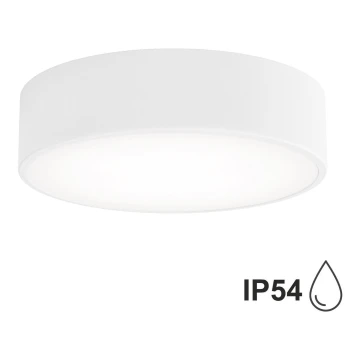 Brilagi - Badkamer plafondlamp CLARE 2xE27/24W/230V diameter 30 cm wit IP54