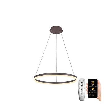 Brilagi - Dimbare LED hanglamp aan een koord CIRCLE LED/42W/230V 3000-6500K bruin + afstandsbediening