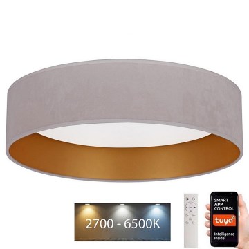 Brilagi - Dimbare LED Plafondlamp VELVET SMART LED/24W/230V d. 45 cm 2700-6500K Wi-Fi Tuya + afstandsbediening