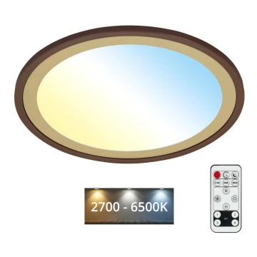Brilo - Dimbare LED plafondlamp SLIM LED/22W/230V 2700-6500K + afstandsbediening