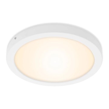 Briloner 7141-016 - LED Plafondlamp FIRE LED/21W/230V