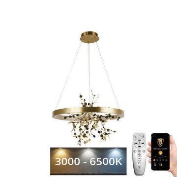 Dimbare LED hanglamp aan een koord LED/40W/230V 3000-6500K goud + afstandsbediening