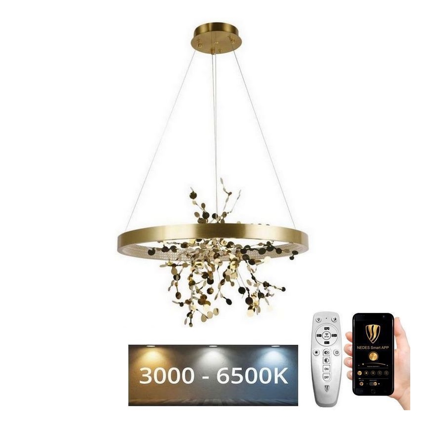 Dimbare LED hanglamp aan een koord LED/40W/230V 3000-6500K goud + afstandsbediening