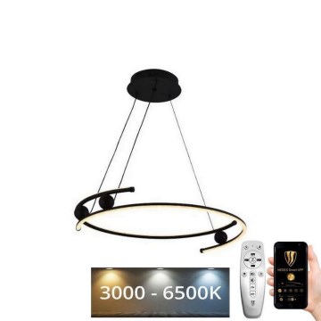 Dimbare LED hanglamp aan een koord LED/50W/230V 3000-6500K + afstandsbediening