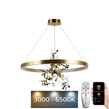 Dimbare LED hanglamp aan een koord LED/55W/230V 3000-6500K goud + afstandsbediening