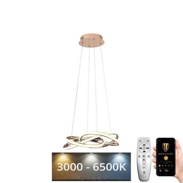Dimbare LED hanglamp aan een koord LED/65W/230V 3000-6500K goud + afstandsbediening