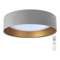 Dimbare LED Plafond Lamp SMART GALAXY LED/24W/230V grijs/goud + afstandsbediening