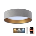 Dimbare LED Plafondlamp SMART GALAXY LED/24W/230V d. 45 cm 2700-6500K Wi-Fi Tuya grijs/goud + afstandsbediening