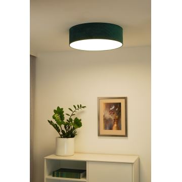 Duolla - LED Plafondlamp CORTINA LED/26W/230V diameter 45 cm 4000K groen