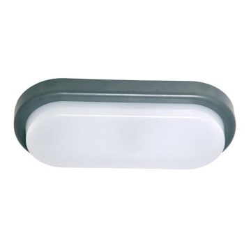 Ecolite BL12W-SED - LED Wandlamp voor buiten OVAL LED/12W/230V IP54