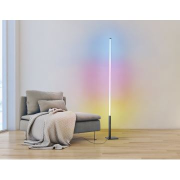 Eglo - Dimbare en Staande LED RGB Lamp LED/13,5W/230V 2700-6500K + afstandsbediening