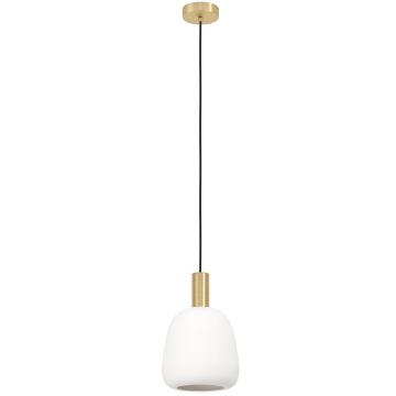 Eglo - Hanglamp aan een koord 1xE27/40W/230V