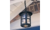 Elstead BL21B-BLACK - Hanglamp voor buiten HEREFORD 1xE27/100W/230V IP43