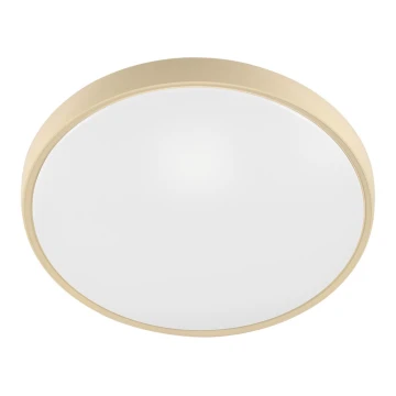 Fulgur 27480 - Frame met diffuser voor verlichtingsarmatuur VERA 420 GOLD