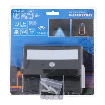 Grundig - LED Solar lamp met sensor 1xLED/0,25W/1xAA