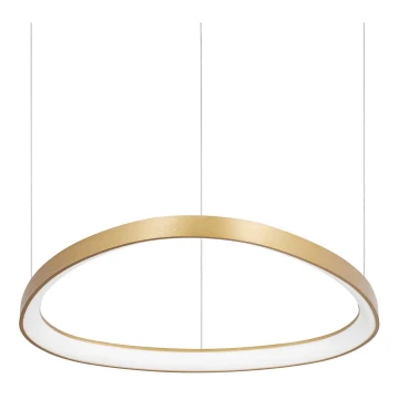 Ideal Lux - LED Hanglamp aan een koord GEMINI LED/48W/230V diameter 61 cm goud