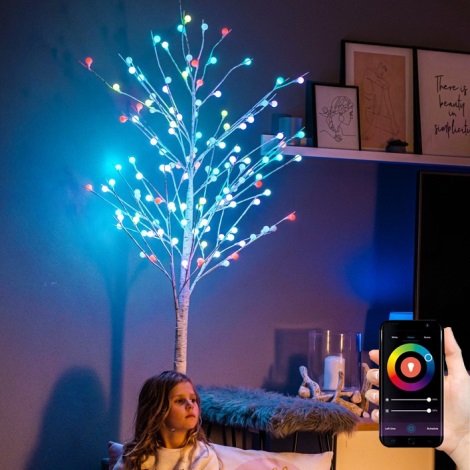 oog Diagnostiseren goochelaar Immax NEO 07750L - LED RGB Kerst Decoratie LED/7,2W/230V 1,8m IP44 Wi-Fi  Tuya | Lampenmanie