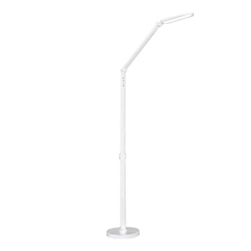 LED Dimbaar aanraken Staande lamp FERRARA LED/13W/230V 3000/4000/6000K wit