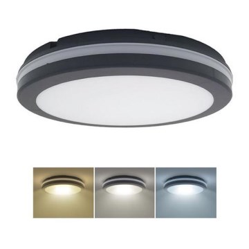LED Dimbaar buitenshuis plafond lamp LED/36W/40W/44W/230V 3000/4000/6500K IP65 zwart