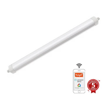 LED Dimbaar heavy-duty lamp LED/40W/230V 3000-6500K Wi-Fi Tuya IP65