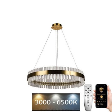 LED Dimbaar kristal Hanglamp aan een touw LED/55W/230V 3000-6500K + afstandsbediening