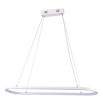 LED Hanglamp aan een koord LED/24W/230V 3000K wit