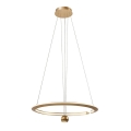 LED Hanglamp aan een koord LED/45W/230V 4000K diameter 62 cm goud