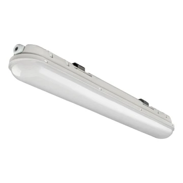 LED Industrie Lamp LED/33W/230V 4000K IP65