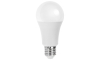 LED Lamp A60 E27/21W/230V 6500K - Aigostar