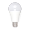 LED lamp A80 E27/18W/230V 3000K