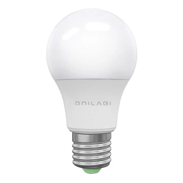 LED Lamp ECOLINE A60 E27/15W/230V 6500K - Brilagi