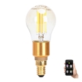 LED Lamp FILAMENT G45 E14/4,5W/230V 2700-6500K - Aigostar