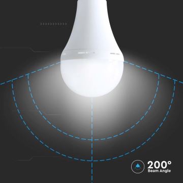 LED Lamp met noodmodus A80 E27/12W/230V 4000K