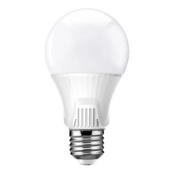 LED Lamp met Sensor E27/9W/230V 6500K