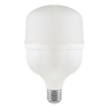 LED Lamp T100 E27/30W/230V 4000K