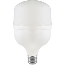 LED Lamp T100 E27/30W/230V 4000K