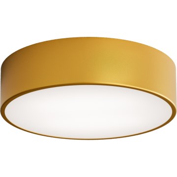 LED Plafondlamp CLEO LED/24W/230V 3000K diameter 30 cm goud