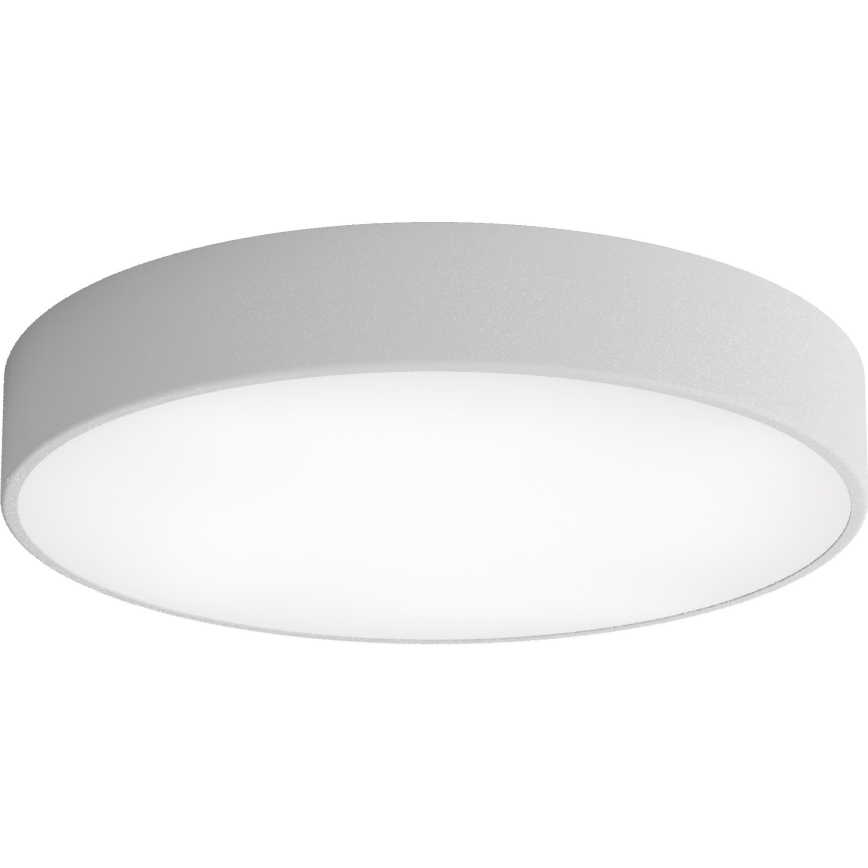 LED Plafondlamp CLEO LED/69W/230V 4000K diameter 50 cm grijs