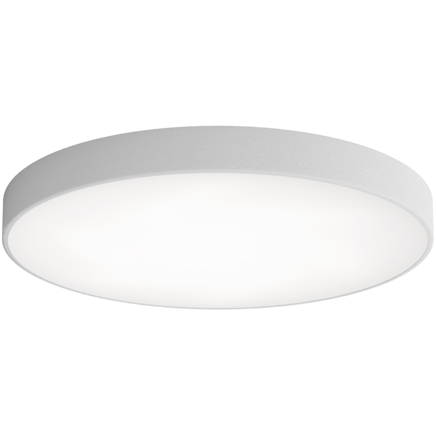 LED Plafondlamp CLEO LED/96W/230V 3000K diameter 80 cm grijs