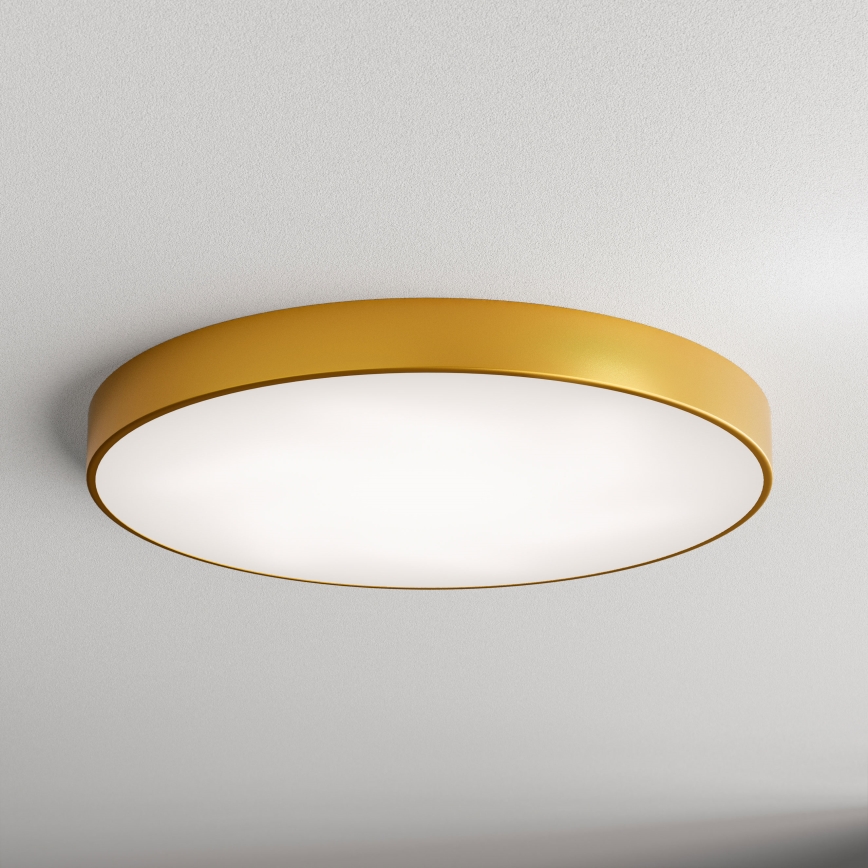 LED Plafondlamp CLEO LED/96W/230V 4000K diameter 80 cm goud